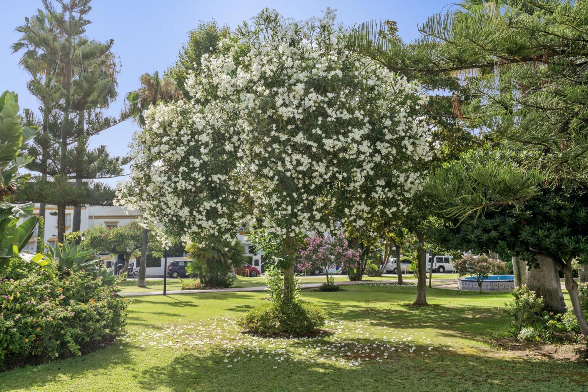 Casa Adriana Vila Marbella Exterior foto